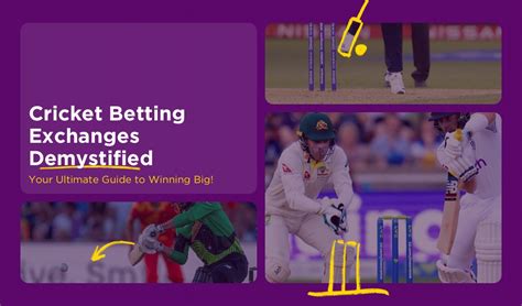 betdaq free bet|betdaq cricket betting.